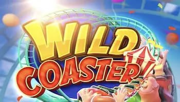 Wild Coaster NK6